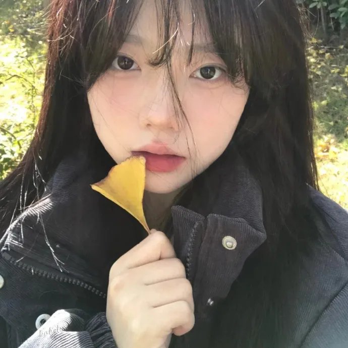 法式触摸2